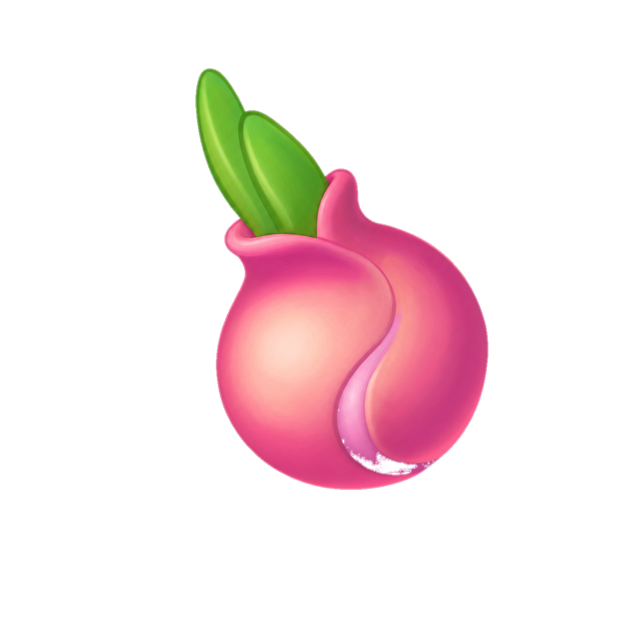 وردة الكرم